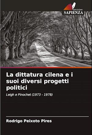 La dittatura cilena e i suoi diversi progetti politici