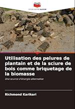 Utilisation des pelures de plantain et de la sciure de bois comme briquetage de la biomasse