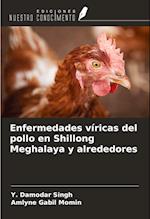 Enfermedades víricas del pollo en Shillong Meghalaya y alrededores