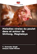 Maladies virales du poulet dans et autour de Shillong, Meghalaya