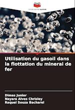 Utilisation du gasoil dans la flottation du minerai de fer