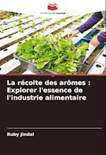 La récolte des arômes : Explorer l'essence de l'industrie alimentaire