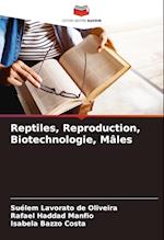 Reptiles, Reproduction, Biotechnologie, Mâles