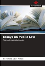 Essays on Public Law