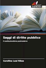 Saggi di diritto pubblico