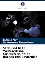 SLNs und NLCs: Vorbereitung, Charakterisierung, Hürden und Strategien