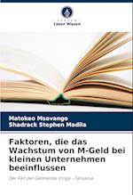 Faktoren, die das Wachstum von M-Geld bei kleinen Unternehmen beeinflussen