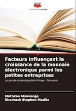 Facteurs influençant la croissance de la monnaie électronique parmi les petites entreprises