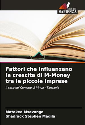 Fattori che influenzano la crescita di M-Money tra le piccole imprese