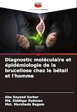 Diagnostic moléculaire et épidémiologie de la brucellose chez le bétail et l'homme