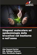 Diagnosi molecolare ed epidemiologia della brucellosi nel bestiame e nell'uomo