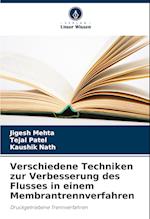 Verschiedene Techniken zur Verbesserung des Flusses in einem Membrantrennverfahren