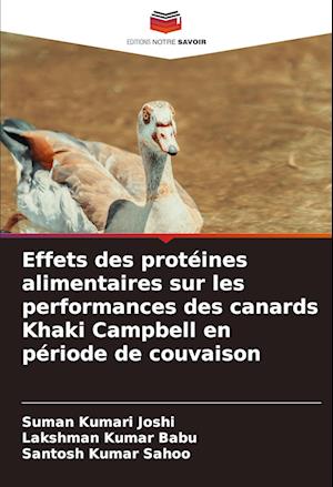 Effets des protéines alimentaires sur les performances des canards Khaki Campbell en période de couvaison