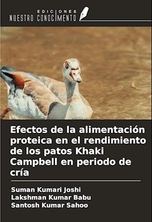 Efectos de la alimentación proteica en el rendimiento de los patos Khaki Campbell en periodo de cría