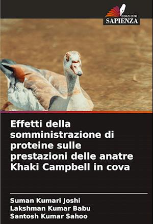 Effetti della somministrazione di proteine sulle prestazioni delle anatre Khaki Campbell in cova