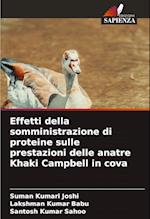 Effetti della somministrazione di proteine sulle prestazioni delle anatre Khaki Campbell in cova