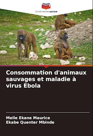 Consommation d'animaux sauvages et maladie à virus Ebola