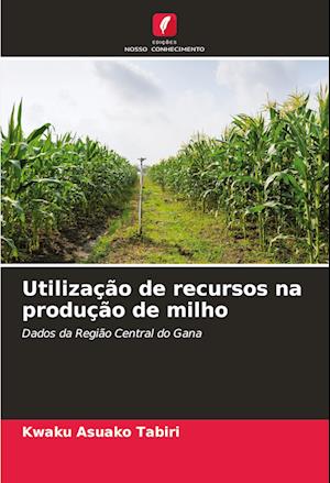 Utilização de recursos na produção de milho