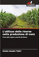 L'utilizzo delle risorse nella produzione di mais