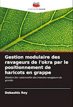 Gestion modulaire des ravageurs de l'okra par le positionnement de haricots en grappe