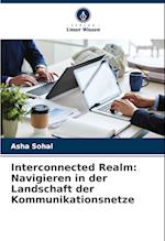 Interconnected Realm: Navigieren in der Landschaft der Kommunikationsnetze