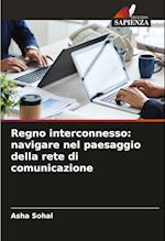 Regno interconnesso: navigare nel paesaggio della rete di comunicazione