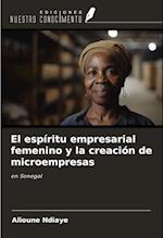 El espíritu empresarial femenino y la creación de microempresas