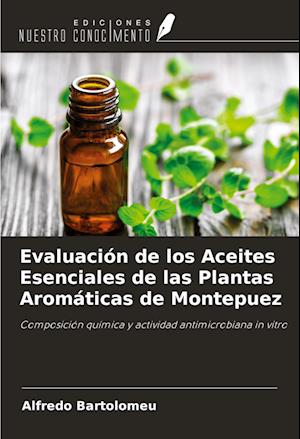 Evaluación de los Aceites Esenciales de las Plantas Aromáticas de Montepuez