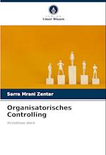 Organisatorisches Controlling