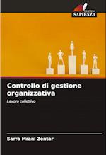 Controllo di gestione organizzativa