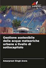 Gestione sostenibile delle acque meteoriche urbane a livello di sottocapitolo