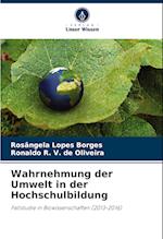 Wahrnehmung der Umwelt in der Hochschulbildung