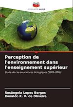 Perception de l'environnement dans l'enseignement supérieur