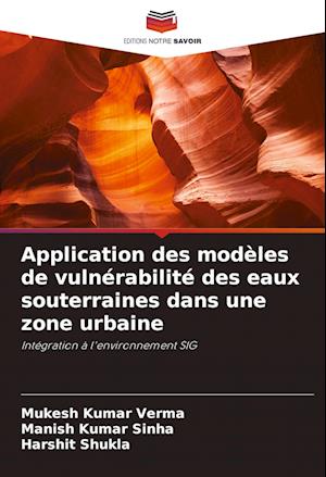 Application des modèles de vulnérabilité des eaux souterraines dans une zone urbaine