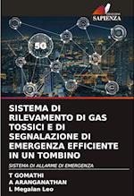 SISTEMA DI RILEVAMENTO DI GAS TOSSICI E DI SEGNALAZIONE DI EMERGENZA EFFICIENTE IN UN TOMBINO