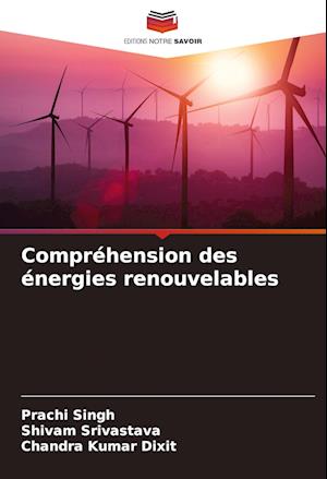 Compréhension des énergies renouvelables