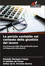 La perizia contabile nel contesto della giustizia del lavoro