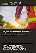 Seguridad Gestión industrial