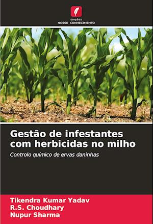 Gestão de infestantes com herbicidas no milho