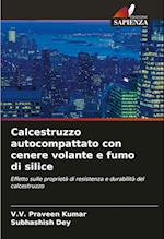 Calcestruzzo autocompattato con cenere volante e fumo di silice