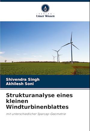 Strukturanalyse eines kleinen Windturbinenblattes