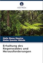 Erhaltung des Regenwaldes und Herausforderungen