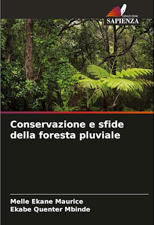 Conservazione e sfide della foresta pluviale