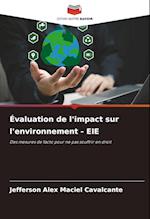 Évaluation de l'impact sur l'environnement - EIE