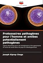 Protozoaires pathogènes pour l'homme et amibes potentiellement pathogènes