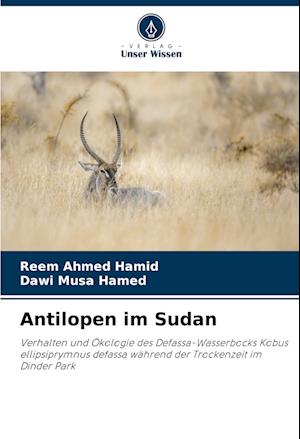 Antilopen im Sudan