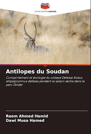 Antilopes du Soudan