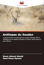 Antilopes du Soudan