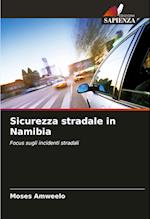 Sicurezza stradale in Namibia