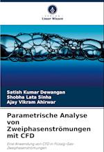 Parametrische Analyse von Zweiphasenströmungen mit CFD